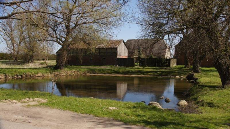 Dorfanger mit Löschteich